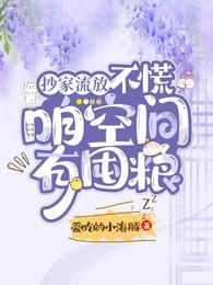 空间抄家