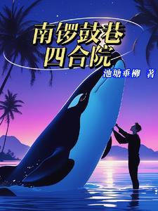 南锣鼓巷四合院现状 南锣鼓巷四合院现状