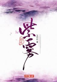 紫雾山庄TXT完本