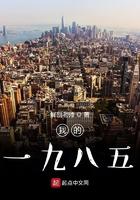 我的一九八五TXT 我的一九八五TXT