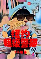 纽约警车出警视频 纽约警车出警视频