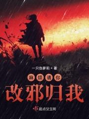 请你改邪归我无错章节