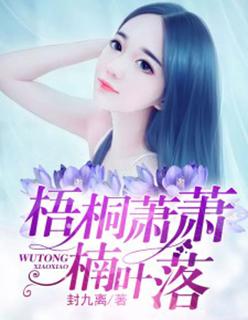 妄与她晋江
